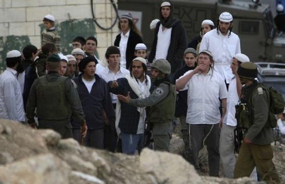 سرطان الاستيطان يتجه نحو دولة ترهب الفلسطينيين ولا تحكمها قوانين صورة رقم 2