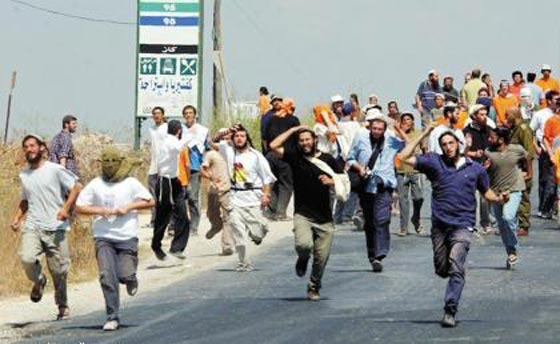 سرطان الاستيطان يتجه نحو دولة ترهب الفلسطينيين ولا تحكمها قوانين صورة رقم 8