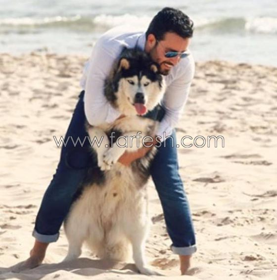 علاقة نجوم الفن بالحيوانات.. لها اكثر من سبب صورة رقم 9