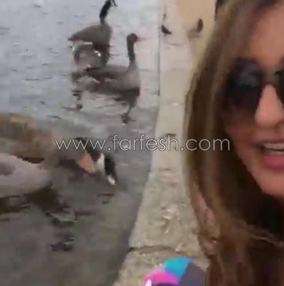 علاقة نجوم الفن بالحيوانات.. لها اكثر من سبب صورة رقم 7