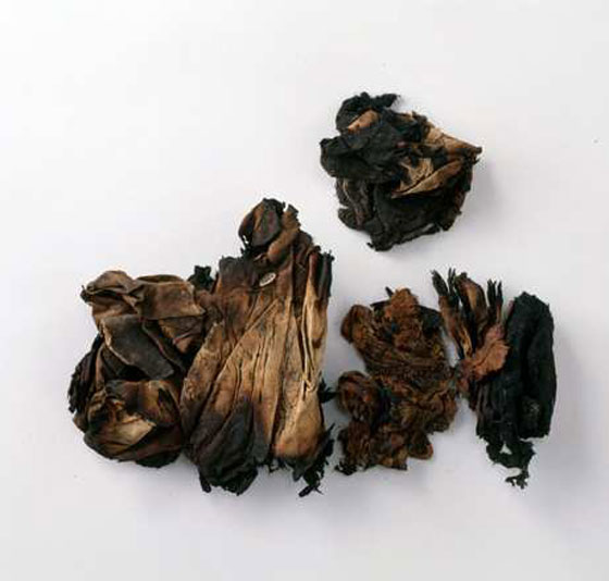 بعد 70 عاما.. اغراض تشهد على فظاعة ما احدثته قنبلة هيروشيما الذرية صورة رقم 4 بعد 70 عاما.. اغراض تشهد على فظاعة ما احدثته قنبلة هيروشيما الذرية صورة رقم 4