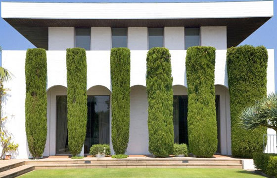 بالصور.. الثري جيمس باكر يبيع قصره في سيدني بـ 70 مليون دولار صورة رقم 6