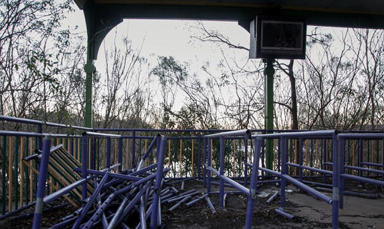 بالصور.. متنزه دمّره اعصار كاترينا وتركه مرتعا للتماسيح صورة رقم 4 بالصور.. متنزه دمّره اعصار كاترينا وتركه مرتعا للتماسيح صورة رقم 4