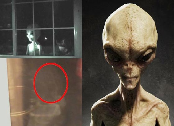 امريكي يلتقط صورة لكائن فضائي يلاحقه منذ 50 عاما.. شاهد صورة رقم 1