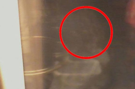 امريكي يلتقط صورة لكائن فضائي يلاحقه منذ 50 عاما.. شاهد صورة رقم 2