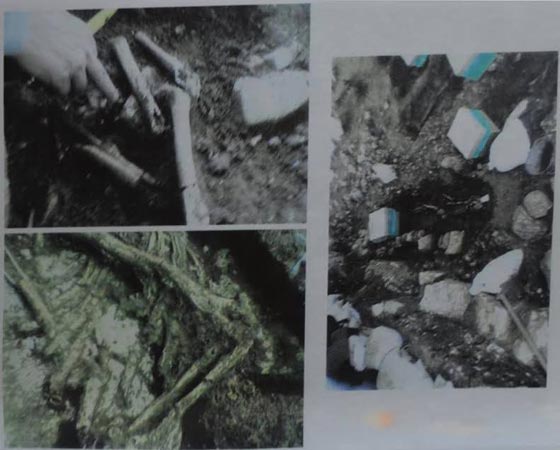 الجامعة العربية تدين الانتهاكات الاسرائيلية واقامة ملهى ليلي على مقبرة اسلامية بالقدس صورة رقم 4