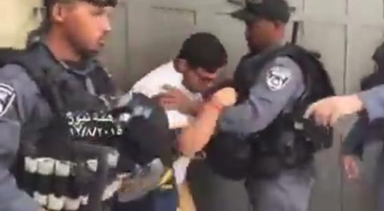 حُماة الاقصى يتصدون للمستوطنين وشتائمهم للنبي محمد.. فيديو صورة رقم 4