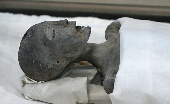 هل يكشف باب خفي في مقبرة توت عنخ امون عن سر تاريخي هام؟ صورة رقم 10