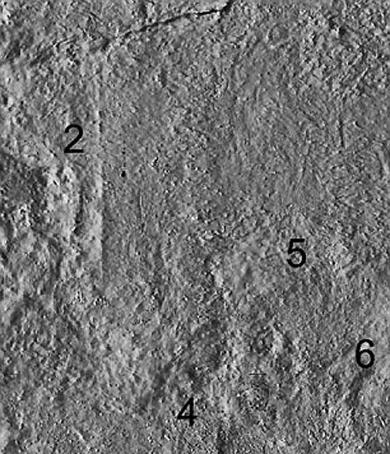 هل يكشف باب خفي في مقبرة توت عنخ امون عن سر تاريخي هام؟ صورة رقم 14