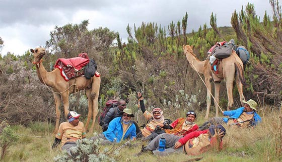 محققين انجازا تاريخيا.. جملان عربيان يرتقيان اعلى قمة في افريقيا  صورة رقم 5