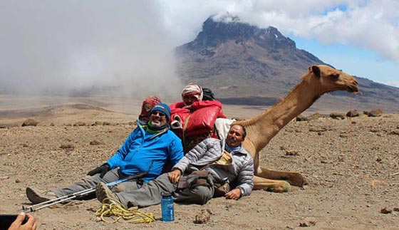 محققين انجازا تاريخيا.. جملان عربيان يرتقيان اعلى قمة في افريقيا  صورة رقم 1