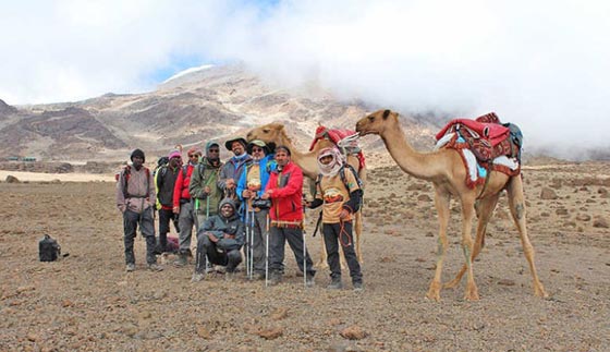 محققين انجازا تاريخيا.. جملان عربيان يرتقيان اعلى قمة في افريقيا  صورة رقم 7