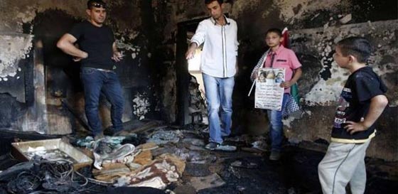 شبح الموت يطارد ريهام دوابشة بعد مقتل ابنها وزوجها حرقا صورة رقم 6