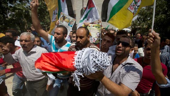 شبح الموت يطارد ريهام دوابشة بعد مقتل ابنها وزوجها حرقا صورة رقم 7