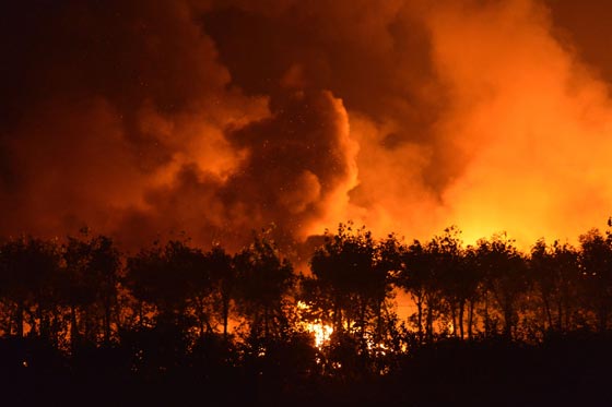 انباء عن سقوط عشرات الضحايا في انفجار هائل في شمال الصين صورة رقم 3