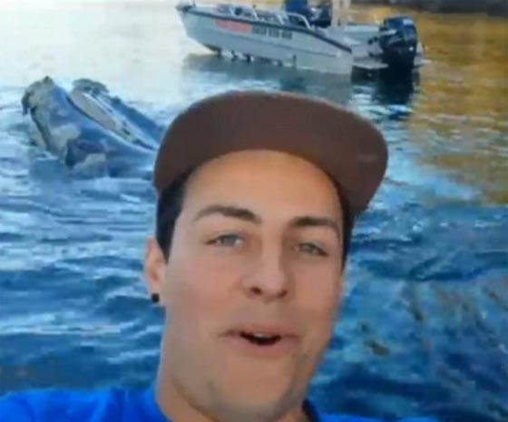 بالفيديو.. حوت يستنجد بالصيادين لاخراج اكياس علقت في فمه صورة رقم 5