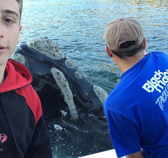 بالفيديو.. حوت يستنجد بالصيادين لاخراج اكياس علقت في فمه صورة رقم 6