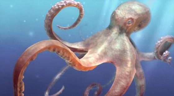 الاخطبوط كائن فضائي تركيبته لا تنتمي لمخلوقات الارض وذكي صورة رقم 3