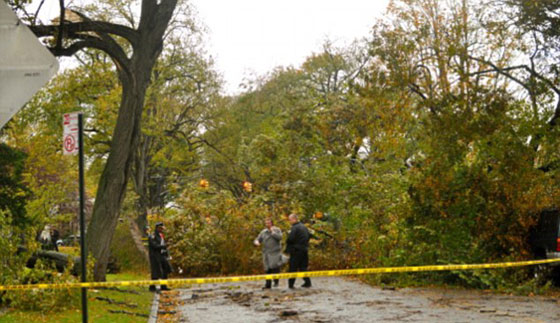 سقوط فرع من شجرة يتسبب بمصرع صبيين كانا ينامان بخيمة صورة رقم 1