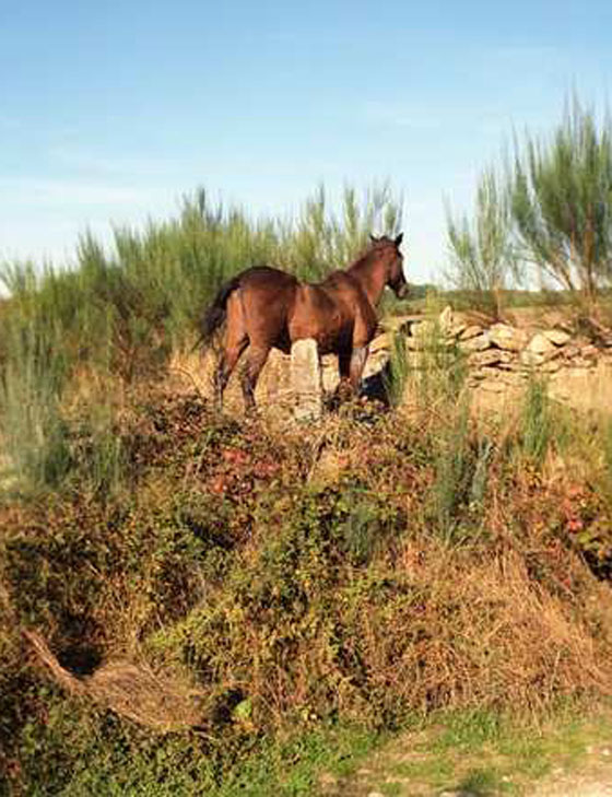 بالصور.. شاهد حدود السلام بلا حواجز بين 26 دولة اوروبية صورة رقم 6