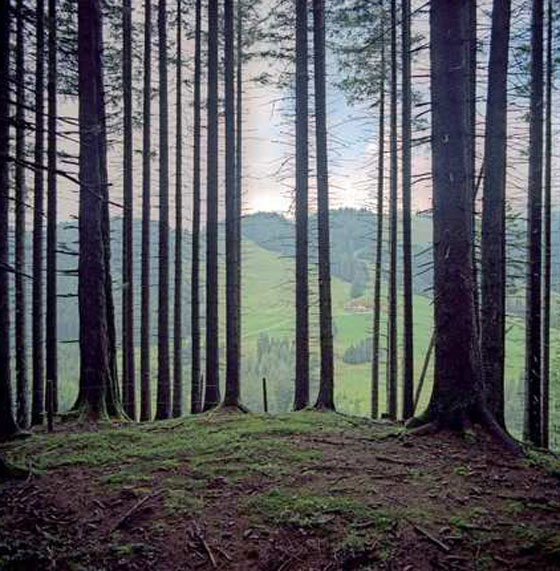 بالصور.. شاهد حدود السلام بلا حواجز بين 26 دولة اوروبية صورة رقم 9