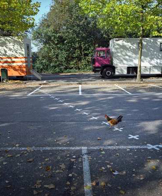 بالصور.. شاهد حدود السلام بلا حواجز بين 26 دولة اوروبية صورة رقم 14