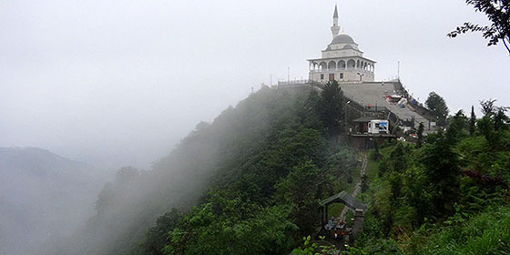  بالصور.. لماذا حط الطائر على رأس أردوغان؟ صورة رقم 3