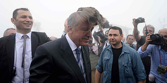  بالصور.. لماذا حط الطائر على رأس أردوغان؟ صورة رقم 4