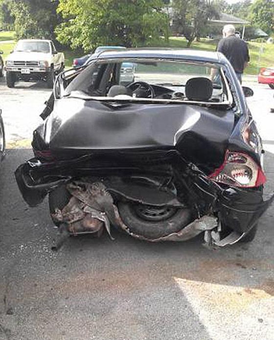 عروس فقدت الذاكرة بحادث ونسيت زواجها.. فتزوجها حبيبها مرة أخرى صورة رقم 2