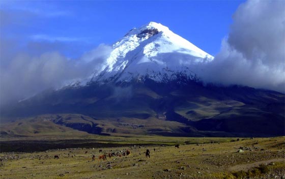 الاكوادور تهتز.. كوتوباكسي اخطر بركان في العالم يستفيق مجددا صورة رقم 2