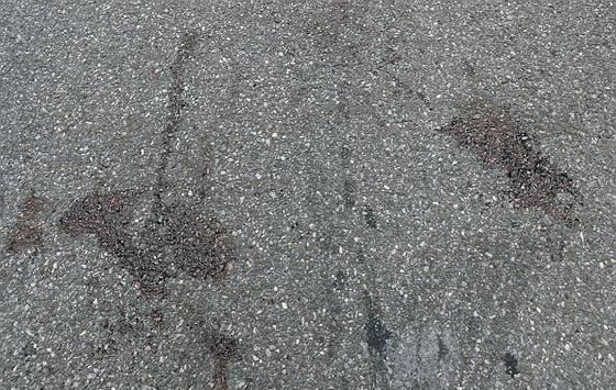  تفاصيل مروعة.. طارد الأرواح يقتل حفيدة نجم عالمي بـ 16 طعنة صورة رقم 12