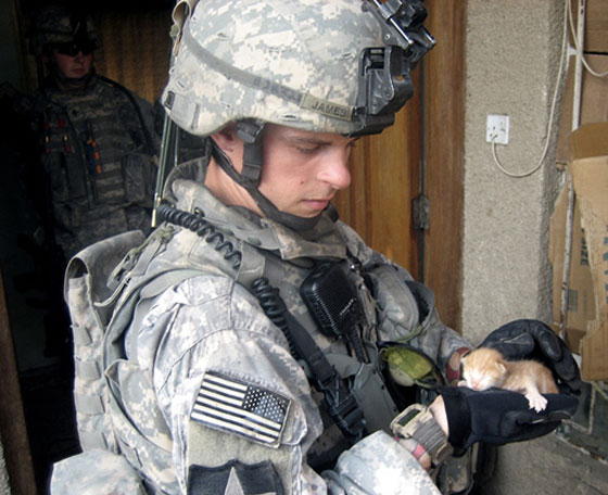 صور مؤثرة تجمع بين الجنود والقطط اوقات الحروب.. شاهدها صورة رقم 5 صور مؤثرة تجمع بين الجنود والقطط اوقات الحروب.. شاهدها صورة رقم 5