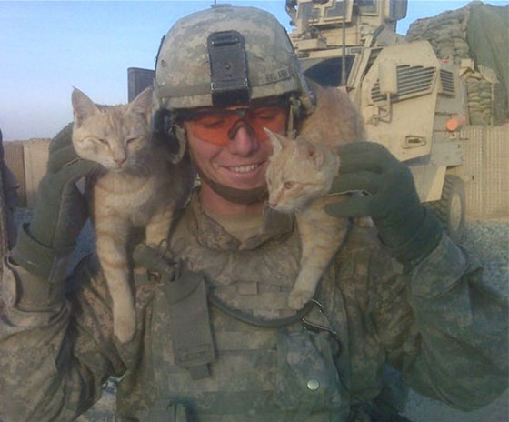 صور مؤثرة تجمع بين الجنود والقطط اوقات الحروب.. شاهدها صورة رقم 9 صور مؤثرة تجمع بين الجنود والقطط اوقات الحروب.. شاهدها صورة رقم 9
