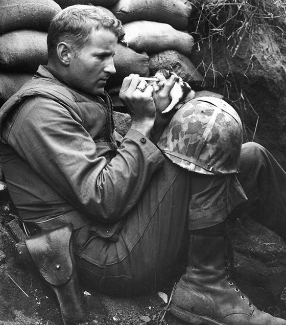 صور مؤثرة تجمع بين الجنود والقطط اوقات الحروب.. شاهدها صورة رقم 12 صور مؤثرة تجمع بين الجنود والقطط اوقات الحروب.. شاهدها صورة رقم 12