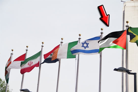 رفع العلم الفلسطيني على مبنى الامم المتحدة.. حلم يتحقق قريبا صورة رقم 1 رفع العلم الفلسطيني على مبنى الامم المتحدة.. حلم يتحقق قريبا صورة رقم 1