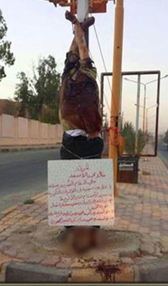 داعش قد يعثر على لابتوب يحتوي كل اسرار تدمر وكنوزها صورة رقم 5