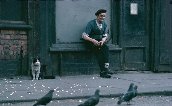 صور من الاحياء البريطانية الفقيرة.. بينها نميمة السيدات واطعام الحمام صورة رقم 3 صور من الاحياء البريطانية الفقيرة.. بينها نميمة السيدات واطعام الحمام صورة رقم 3