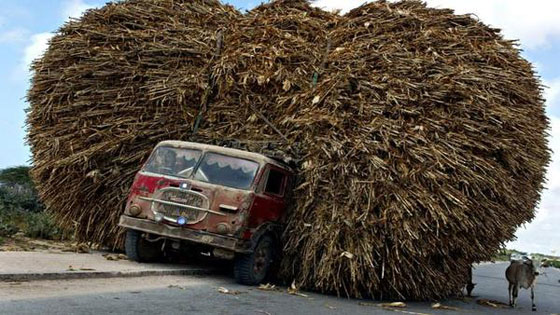 بالصور.. حمولة زائدة بشكل غير معقول في الطريق الى الكوارث صورة رقم 4