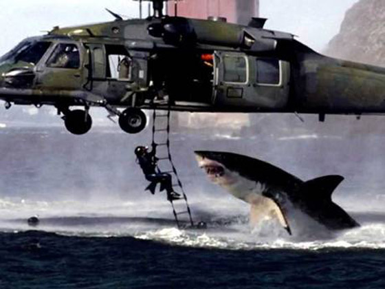 بالصور.. شاهد أكبر الفضائح العالمية التي تدخل فيها الفوتوشوب صورة رقم 2 بالصور.. شاهد أكبر الفضائح العالمية التي تدخل فيها الفوتوشوب صورة رقم 2