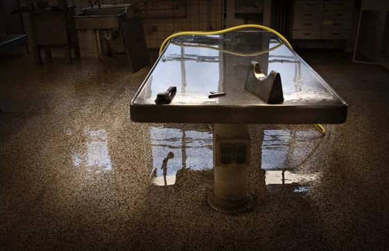 كاميرا في المشرحة.. مصورة توثق ما يحدث لجسد الانسان بعد موته صورة رقم 10