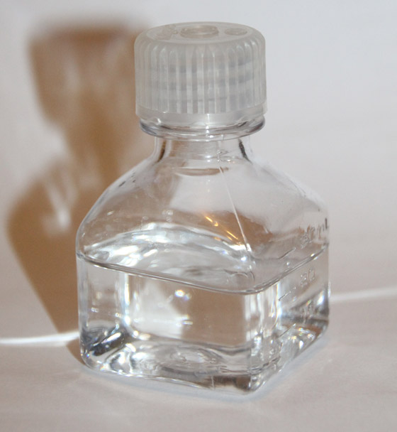 الغيرة الشديدة تدفع كمبودية لقتل غريمتها بالسائل الحمضي!! صورة رقم 1