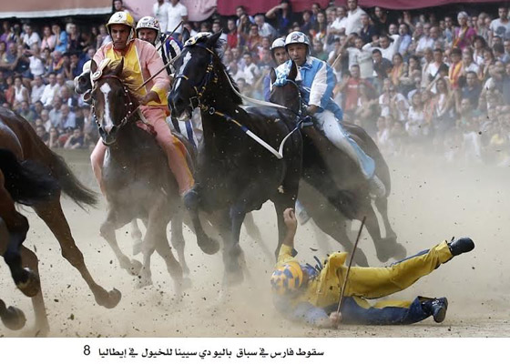 شاهد اجمل صور الاسبوع واختر منها اروعها صورة رقم 8