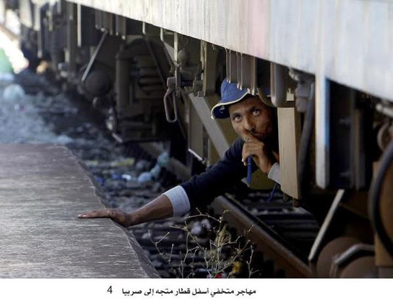 شاهد اجمل صور الاسبوع واختر منها اروعها صورة رقم 4