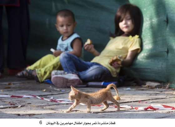 شاهد اجمل صور الاسبوع واختر منها اروعها صورة رقم 6