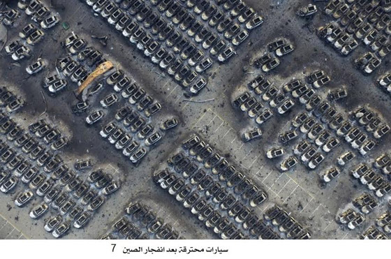 شاهد اجمل صور الاسبوع واختر منها اروعها صورة رقم 7