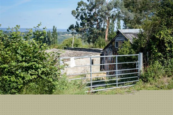 هيكل بناء خشبي آيل للسقوط للبيع بمليون جنيه استرليني.. ما السبب؟ صورة رقم 2