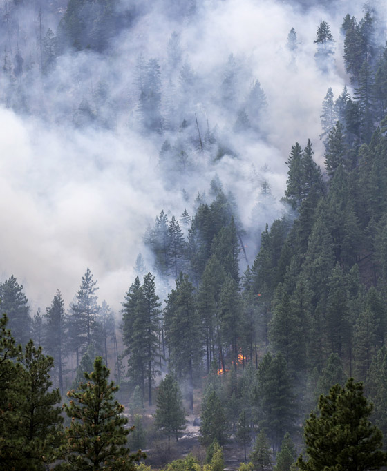 2015.. اسوأ عام بتاريخ الحرائق في ولاية واشنطن صورة رقم 3