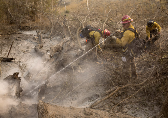 2015.. اسوأ عام بتاريخ الحرائق في ولاية واشنطن صورة رقم 6