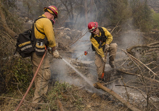 2015.. اسوأ عام بتاريخ الحرائق في ولاية واشنطن صورة رقم 7