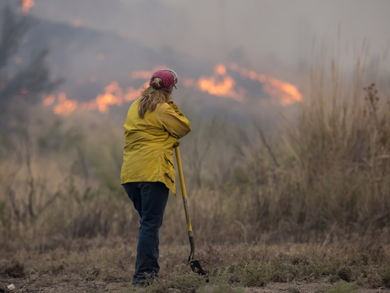 2015.. اسوأ عام بتاريخ الحرائق في ولاية واشنطن صورة رقم 8